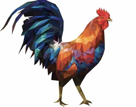R4 coq